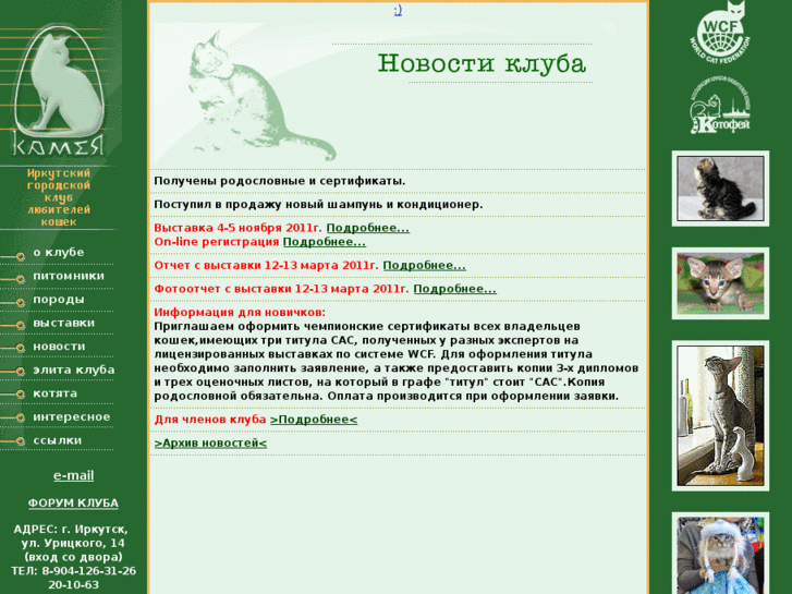 www.kameyacat.com