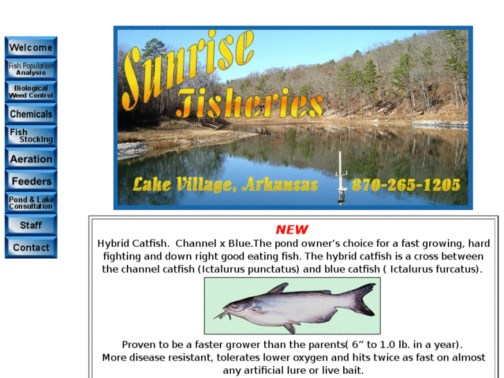 www.sunfisheries.com