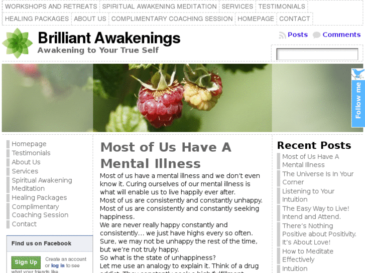 www.brilliantawakenings.com