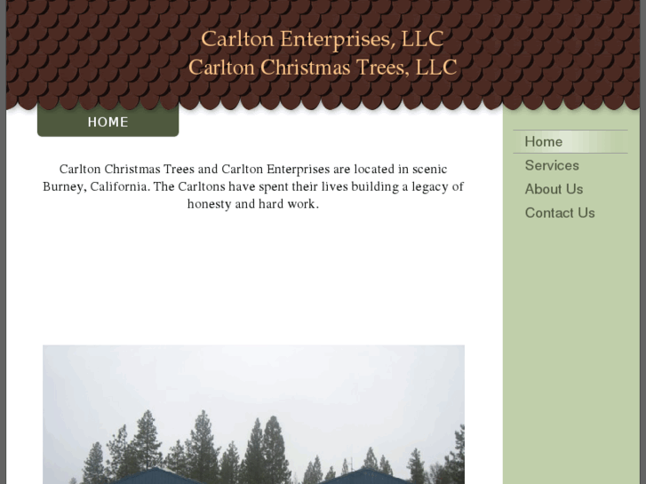 www.carltonsllc.com