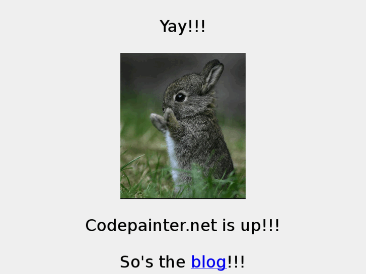 www.codepainter.net