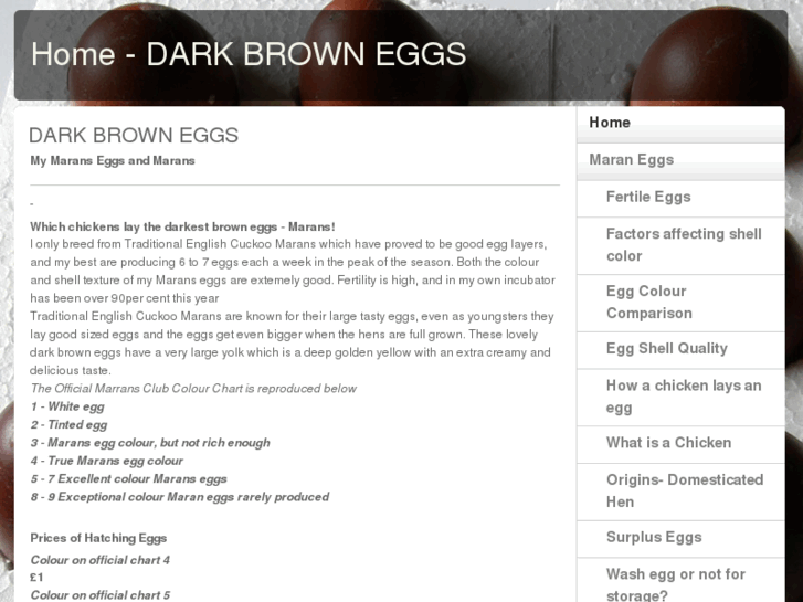 www.darkbrowneggs.info