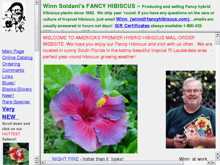 www.fancyhibiscus.com