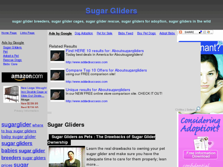 www.aboutsugargliders.com