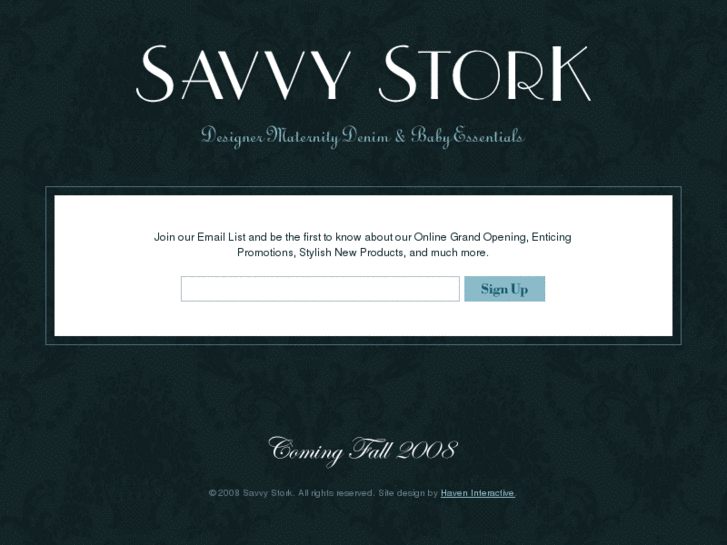 www.savvystork.com