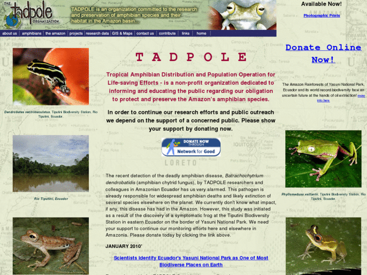 www.tadpoleorg.org