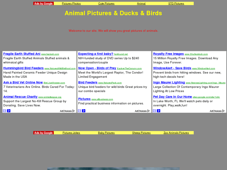 www.animal-pictures.info