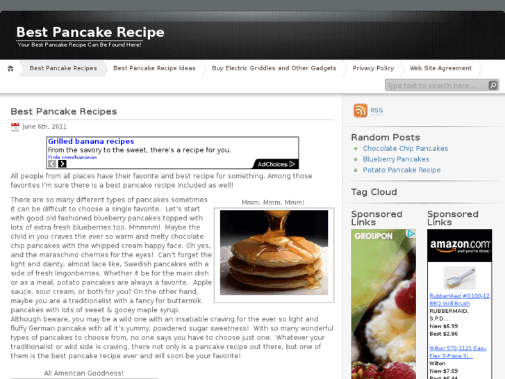 www.best-pancake-recipe.com