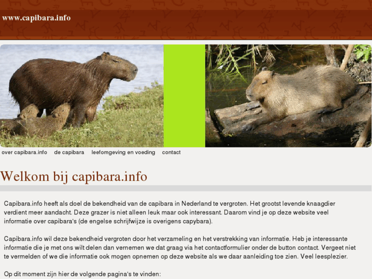 www.capibara.info