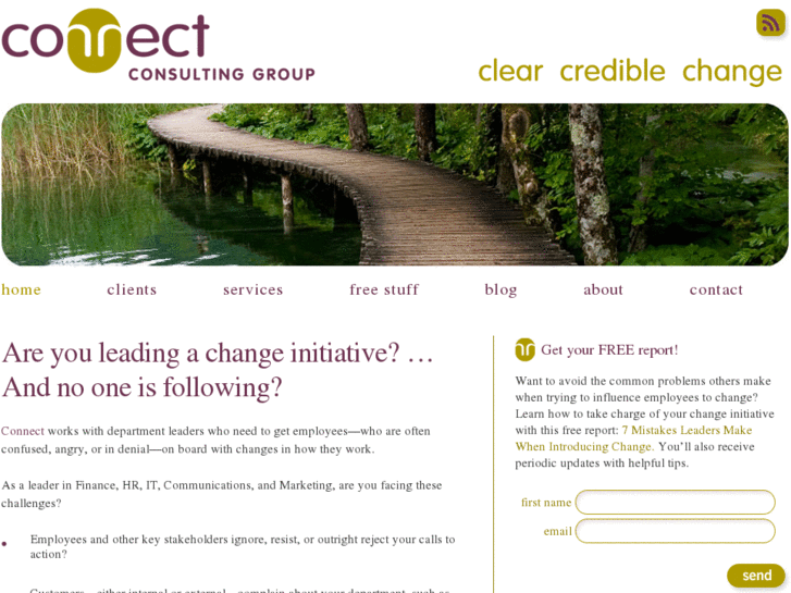 www.connectconsultinggroup.com