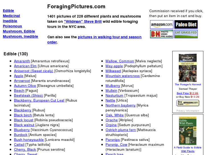 www.foragingphotos.com