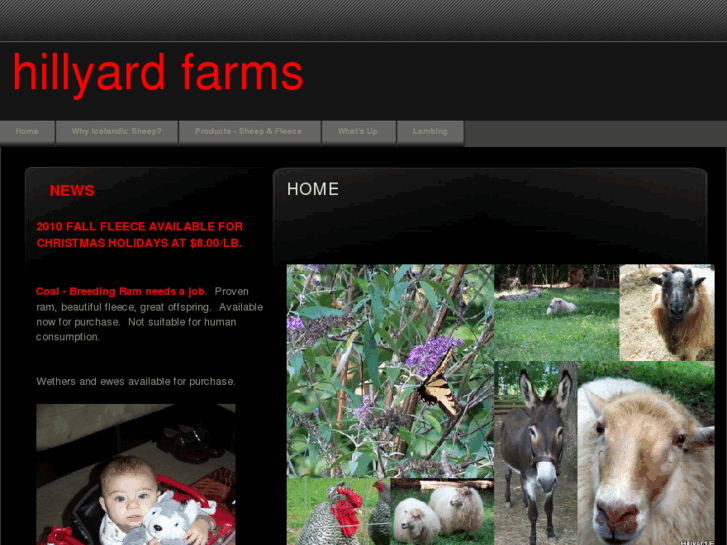 www.hillyardfarms.com