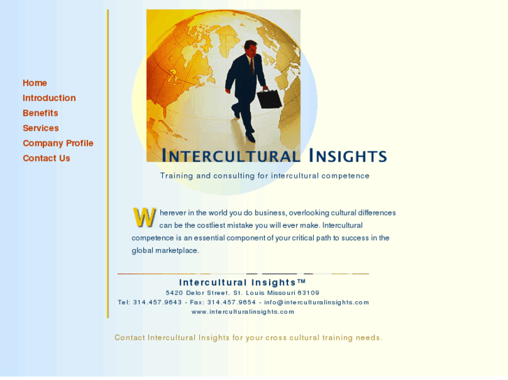 www.interculturalinsights.com