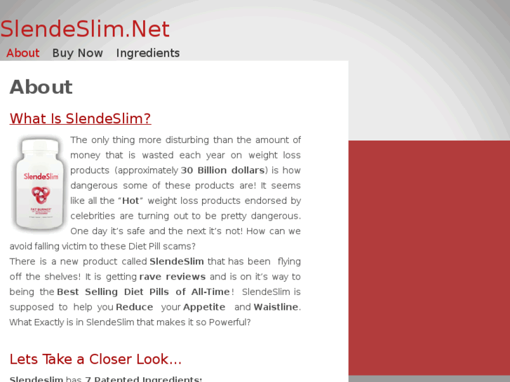www.slendeslim.net