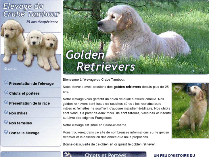 www.eleveur-golden-retriever.fr