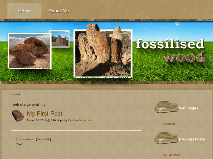 www.fossilisedwood.com