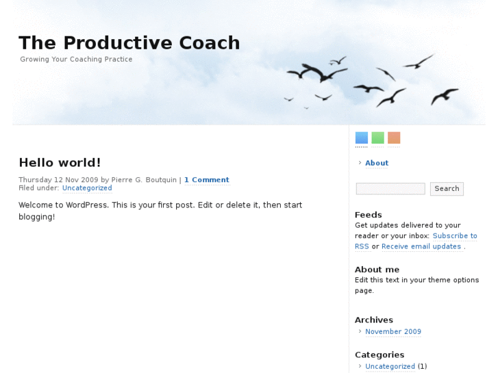 www.productivecoach.com