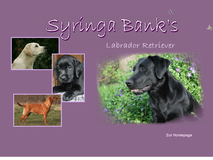 www.syringa-banks.de