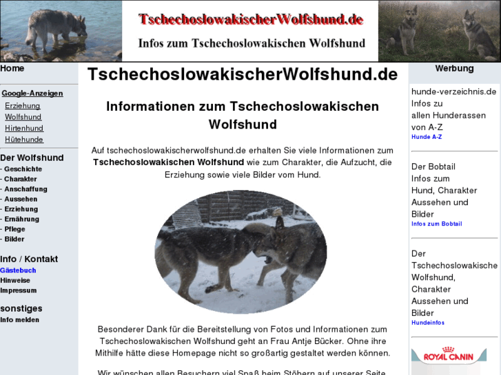 www.tschechoslowakischerwolfshund.de