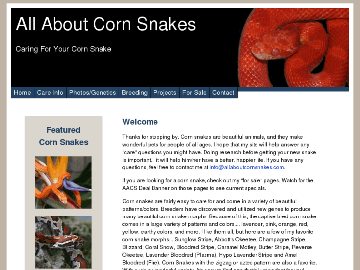 www.allaboutcornsnakes.com