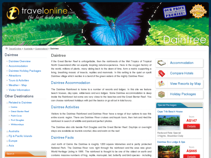 www.daintree.com