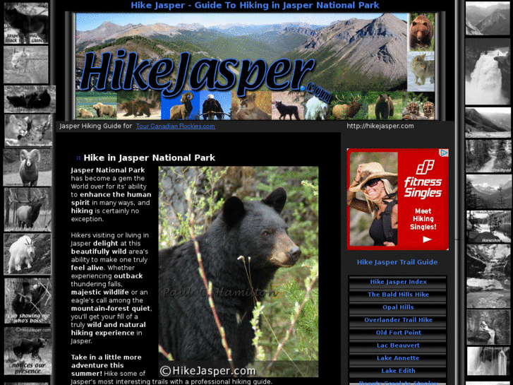 www.hikejasper.com