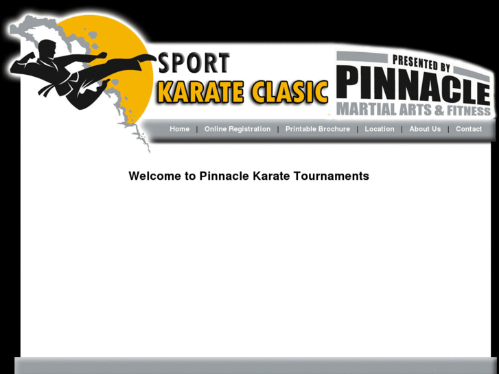 www.pinnaclekarate.com
