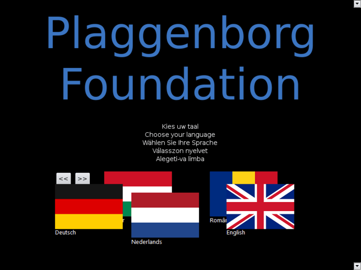 www.plaggenborgfoundation.com