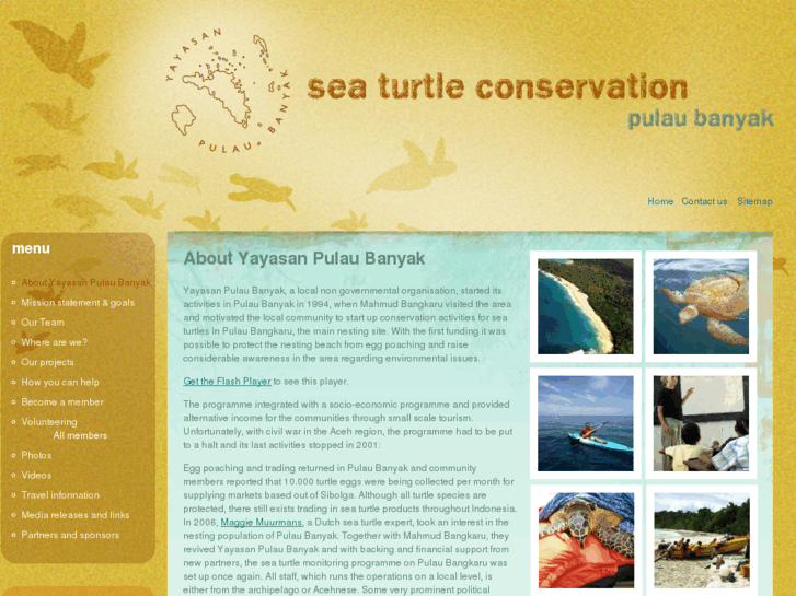 www.acehturtleconservation.org