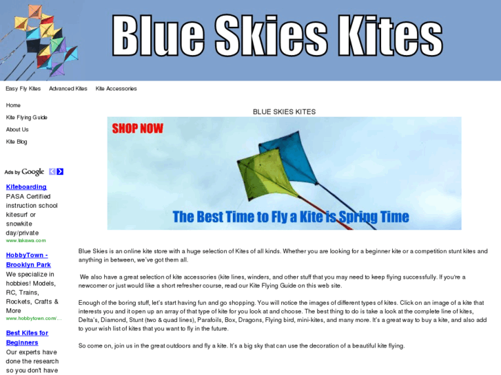 www.blueskieskites.com