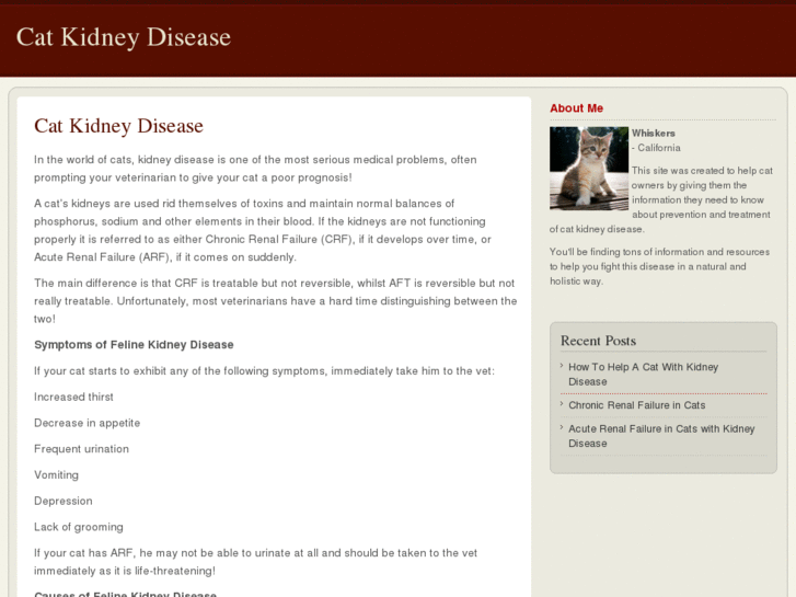 www.catkidneydisease.net