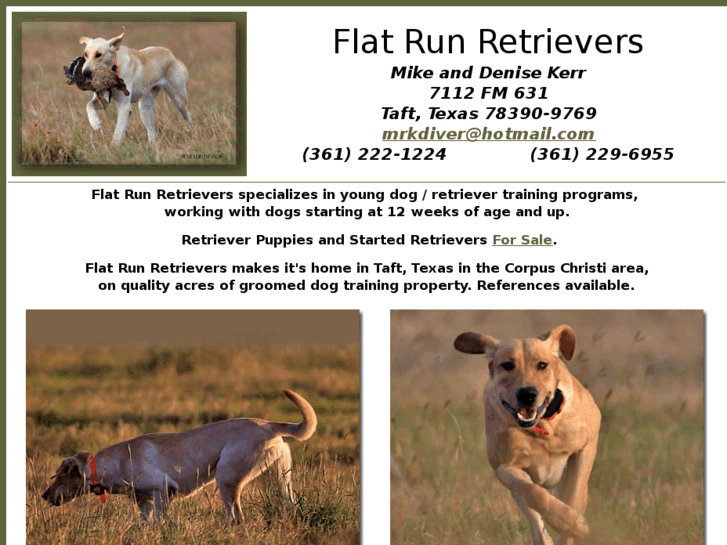 www.flatrunretrievers.com