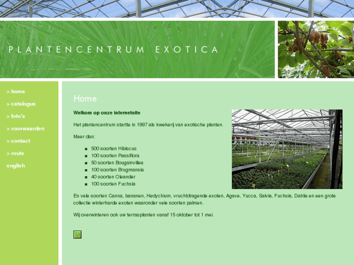 www.nurseryexotica.com