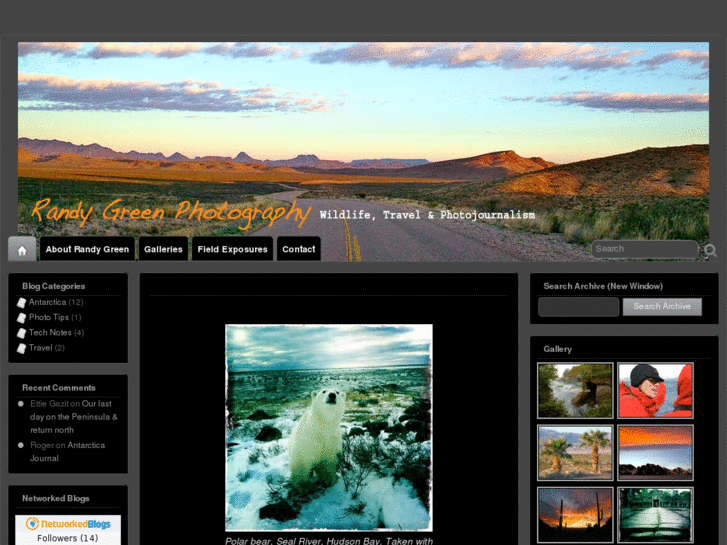 www.randygreenphoto.com
