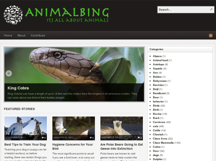 www.animalbing.com