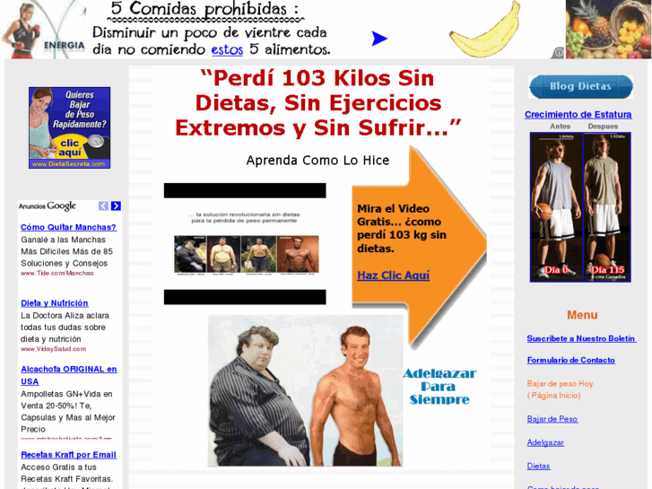 www.dietas-para-bajar-de-peso.com
