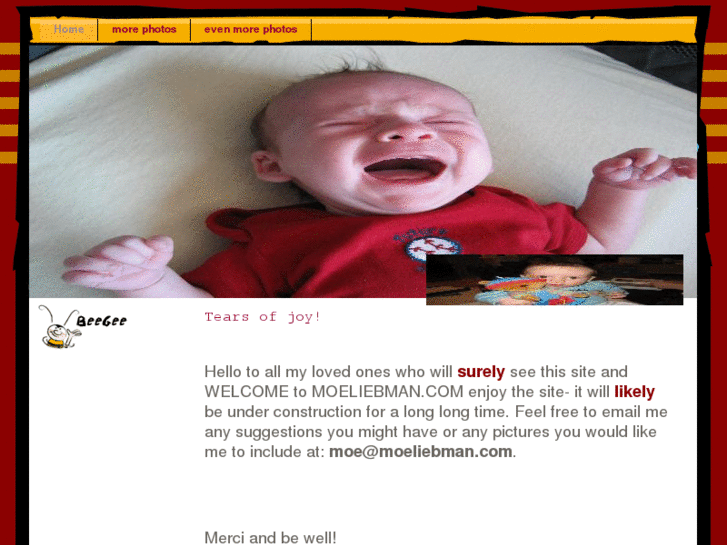 www.moeliebman.com