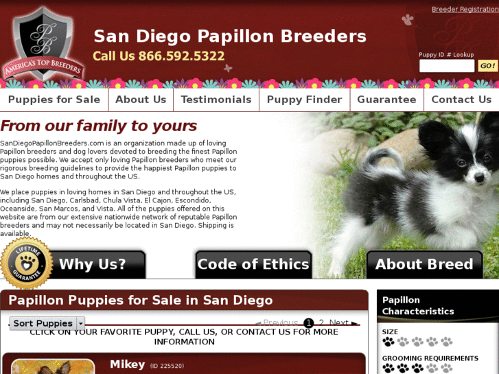 www.sandiegopapillonbreeders.com