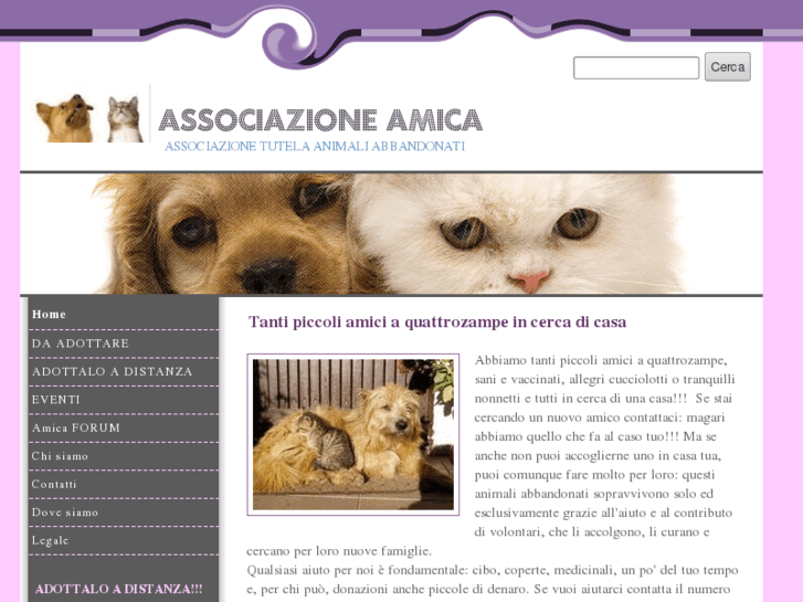 www.associazioneamica.org