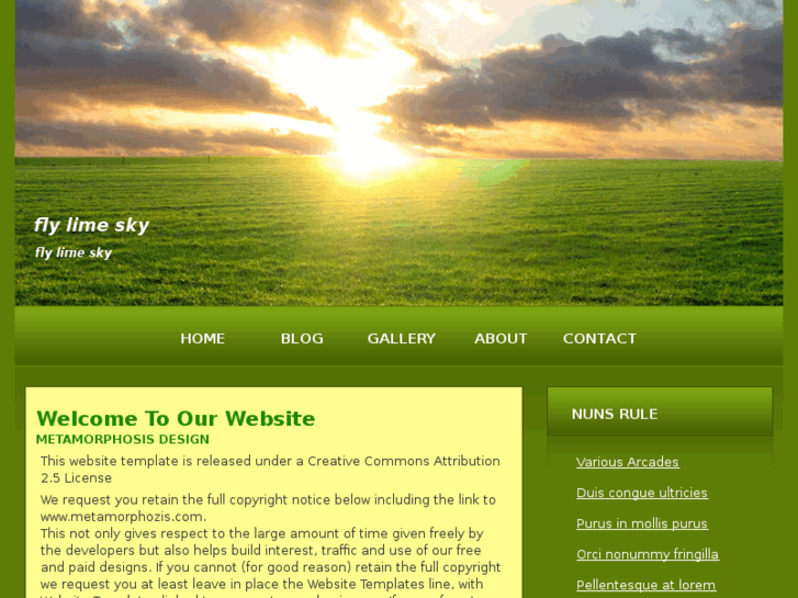 www.flylimesky.com