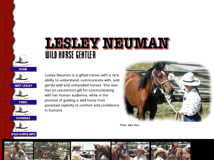 www.lesleyneuman.com