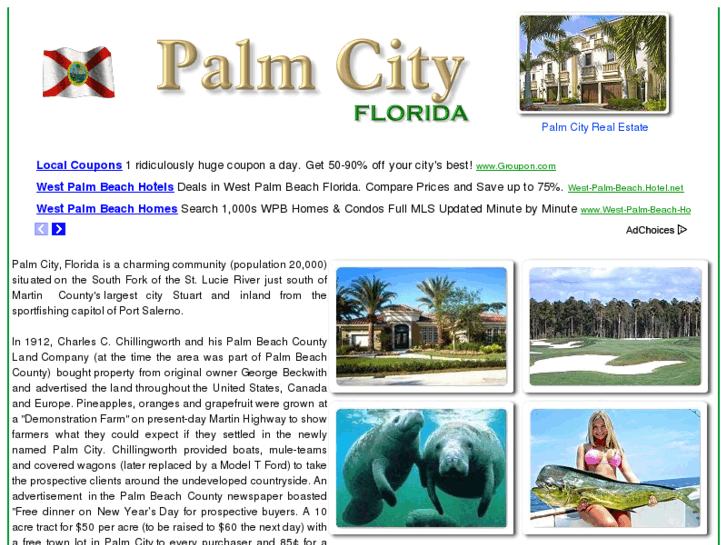 www.palm-city.com