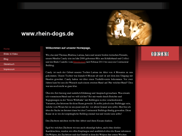 www.rhein-dogs.de