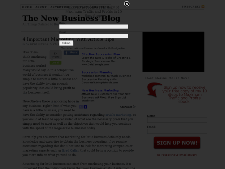 www.thenewbusinessblog.com