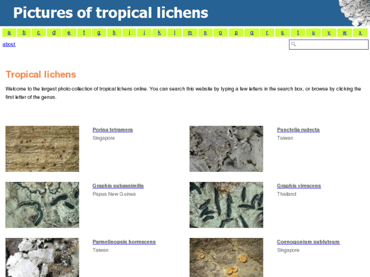 www.tropicallichens.net