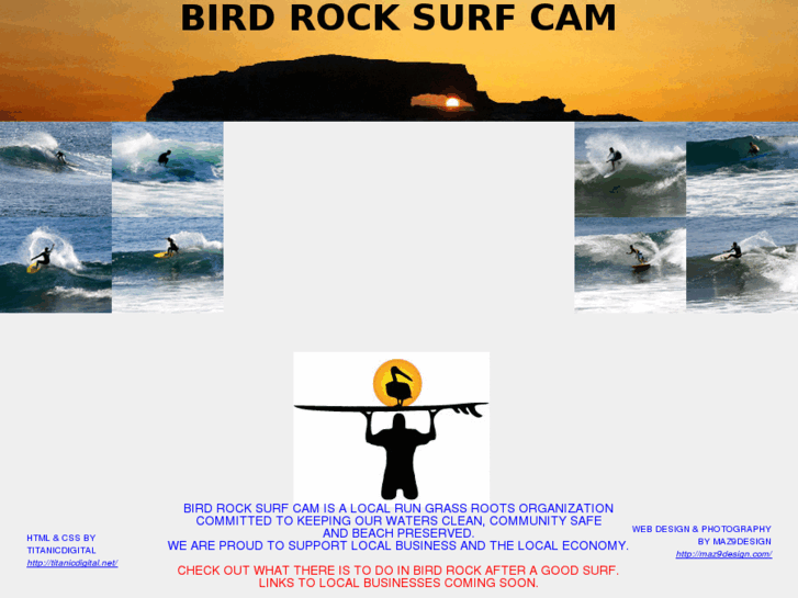 www.birdrocksurfcam.org