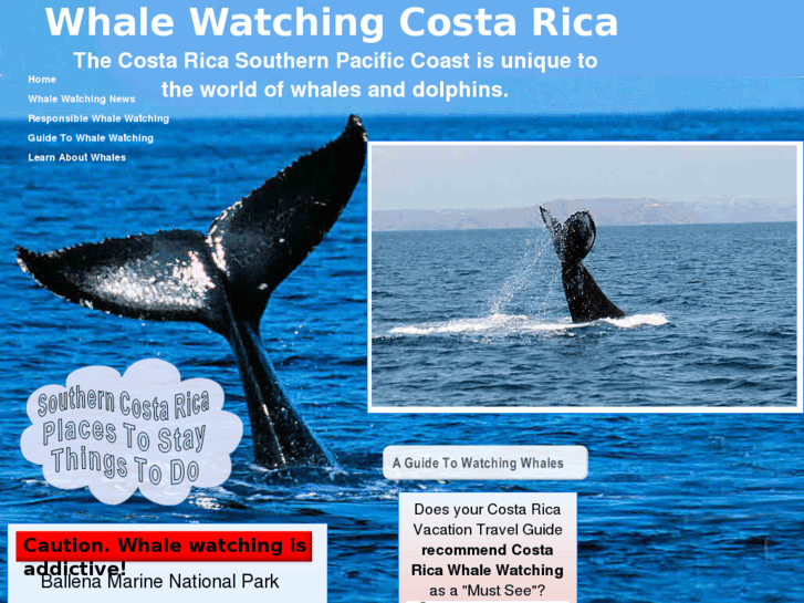 www.costaricawhalewatching.com