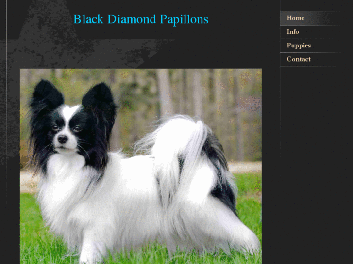 www.blackdiamondpapillons.com