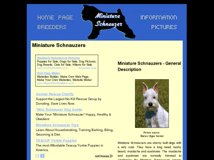 www.miniature-schnauzer-dogs.com