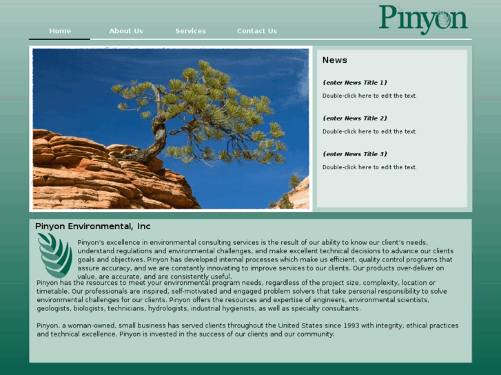 www.pinyon-env.com